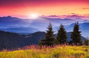 Photo Shooting Tips During Golden Hour